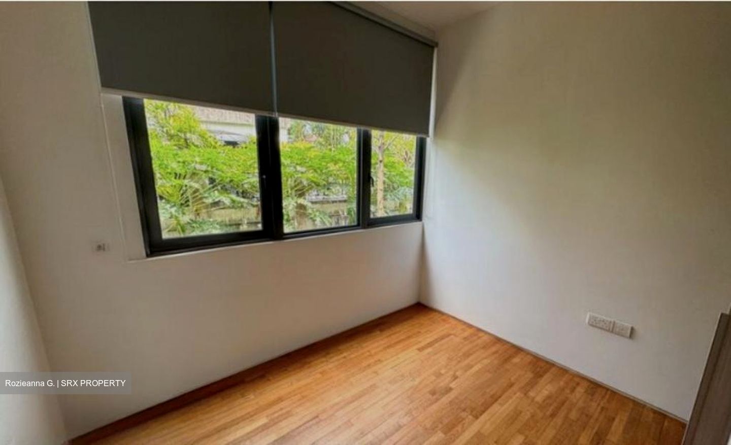 Shamrock Park (D10), Terrace #500355261